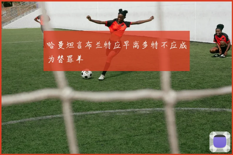 哈曼坦言布兰特应早离多特不应成为替罪羊